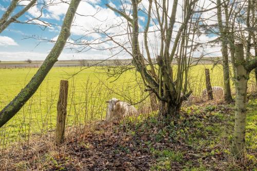 Haus Beltringharde in Reussenkoge