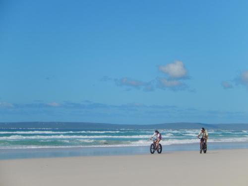 Programlehetőségek, Beach Cabin - Vogelgezang in Bredasdorp