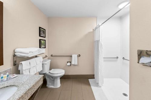 Comfort Inn & Suites - image 12