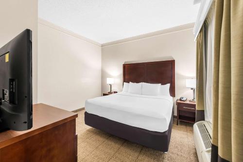 Comfort Inn & Suites - image 10