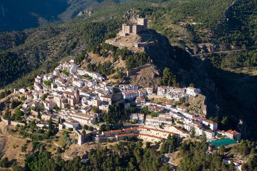 Cortijo De Ramón