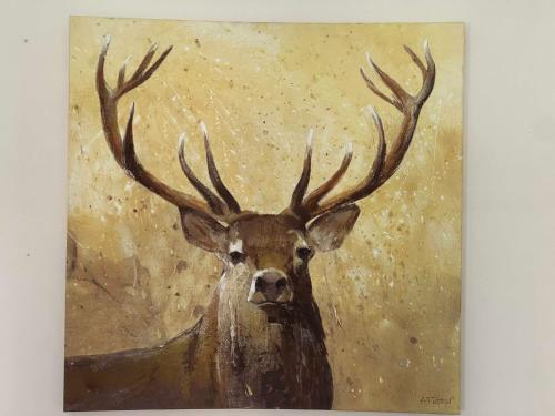 Apartment 2 Bed West End - image 11