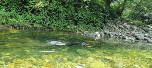 Gapyeong Gyegokae Poongdung Pension Camping