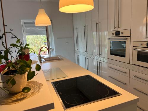 virtuve, Shining Home in Felsoors