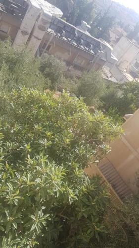 Ambiente nas Imediações, ram77 in Salt