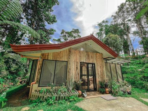 TwinkleVille Christmas-Themed Cottage