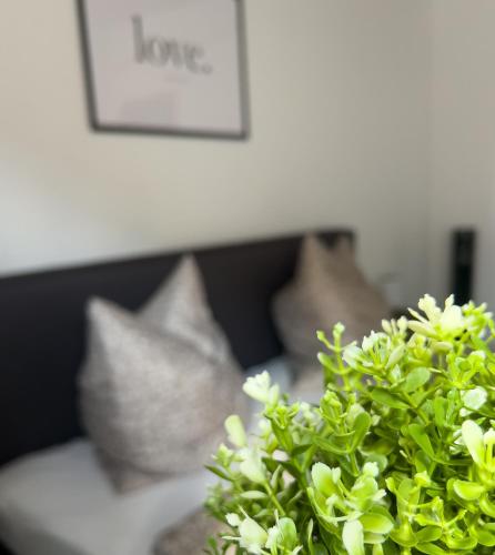 Stilvoll-Fewo mit Garten