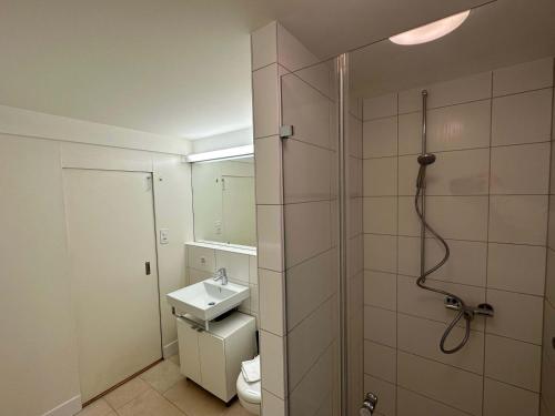 HITrental Limmatquai Apartments, Zúrich (foto 7)