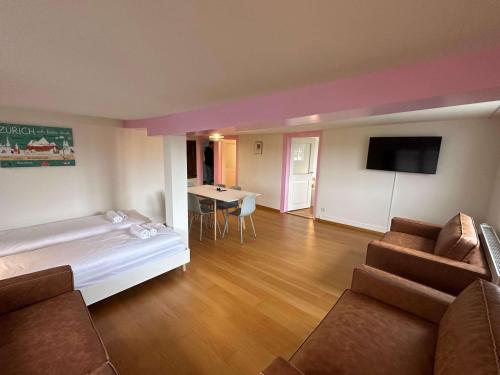HITrental Limmatquai Apartments, Zúrich (foto 4)