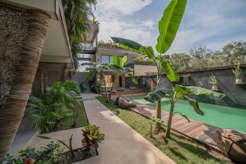 Xamira Oasis vibes jungle retreat Beach Access