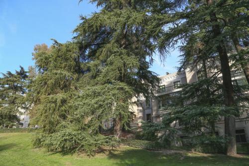 Hostels Meetingpoint - image 13