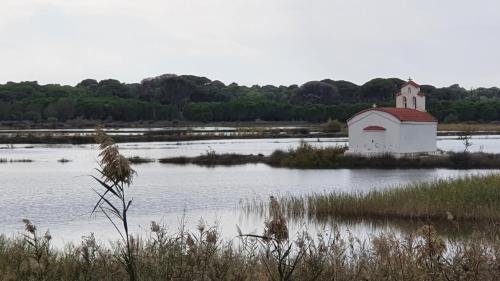 PETROS ROOMS to LET KALOGRIA BEACH