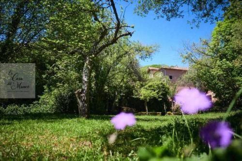 La Casa Del Manco