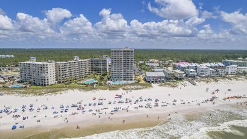 Tradewinds 801 thumb 4