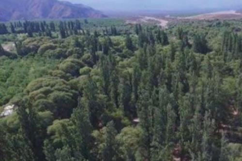 Cerros de Sañogasta, La Rioja (Cerros de Sanogasta, La Rioja) in Nonogasta