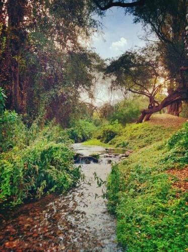Cerros de Sañogasta, La Rioja (Cerros de Sanogasta, La Rioja) in Nonogasta