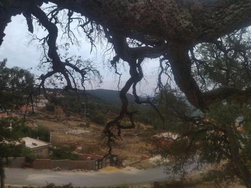 DarAlRayhan DarAlRayhan