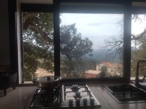 DarAlRayhan DarAlRayhan