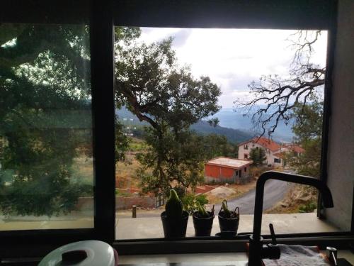 DarAlRayhan DarAlRayhan