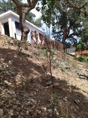 DarAlRayhan DarAlRayhan