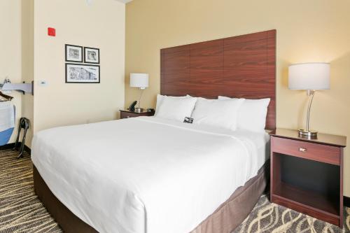 King Room with Roll-In Shower - Disability Access