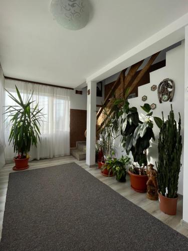 Casa Sofia Dorna Candrenilor in Durau