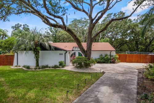 Backyard Games, Fire Pit, Heated Pool, Near Beach in Palm Harbor