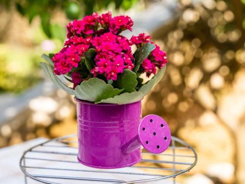 Apartment Matej - One Bedroom Apartment rtava s Dakse