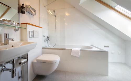 Superior Double Room - Attic room in Hotel Páv