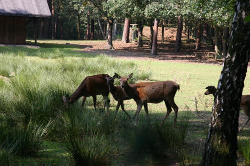 Hotel Christophorus - image 2