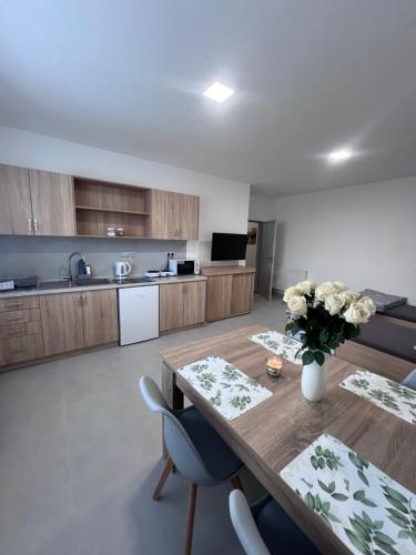 ห้องครัว, Ubytování Zátiší 3 Olomouc (Ubytovani Zatisi 3 Olomouc) in สลาโวนิน