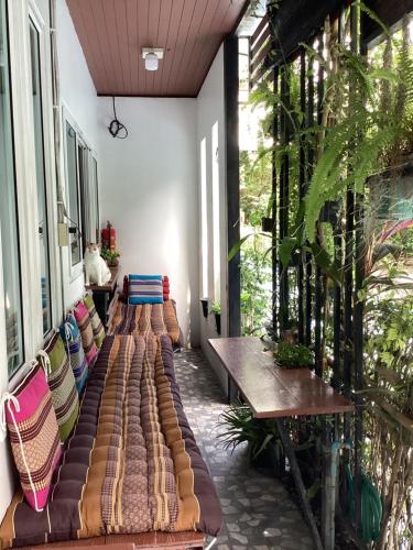 Nest hostel lipe in City Center