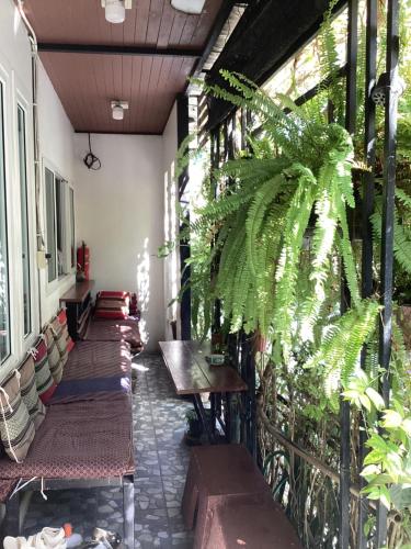 Nest hostel lipe in City Center
