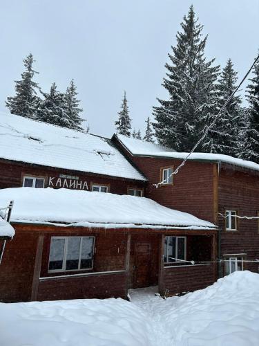 Калина - Accommodation - Dragobrat