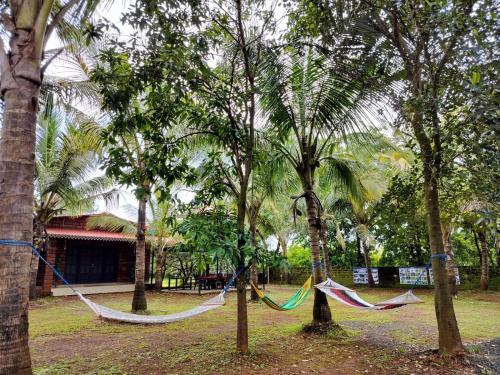 Kert, 23 négyzetméteres, 3 hálószobás Villa 3 fürdőszobával Guhagar területén (Saka Kadams home stay) in Guhagar