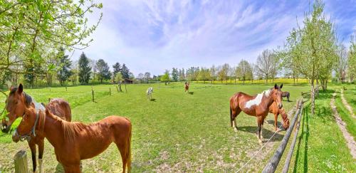 Romantik Hotel Zum Klosterbräu - image 13