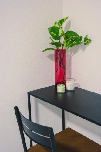 設施, Alaïa Hostel (Alaia Hostel) in 錫永