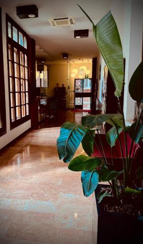 Domus Ciliota - image 11