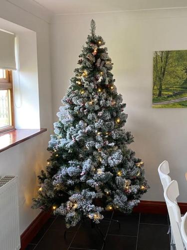 Wood Farm Stables - Sleeps 6-8 - Tap to explore photos