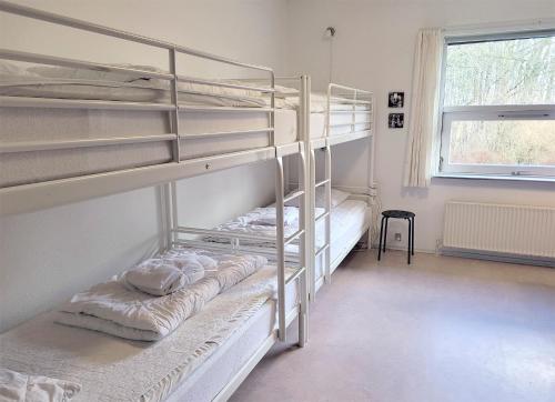 Aarhus Hostel - image 5