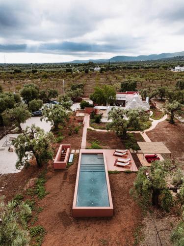 OZIO - Il trullo rosso, Fasano (foto 10)