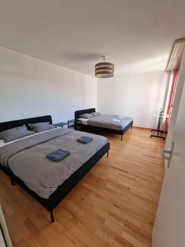 Mountain view apartments in Cressier near Murten in Cressier, Schweiz