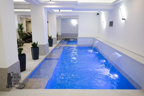 Vila Ursul Negru - Sovata