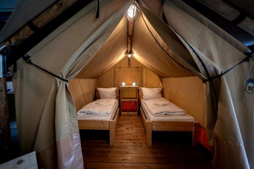 daheim Triberg Hostel - Deals, Photos & Reviews