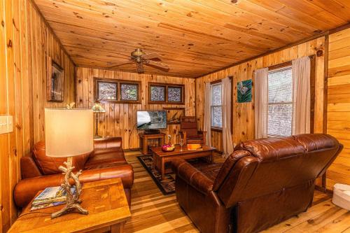 Dragonfly Cabin in Bryson City, USA