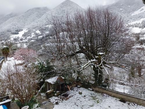 ''Mon Chez Moi'' in 其他地區