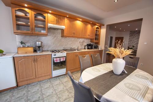 Kitchen, Nemeth Apartman Sarvar in Pentekfalu