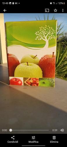 Agricampeggio AL CIELO STELLATO