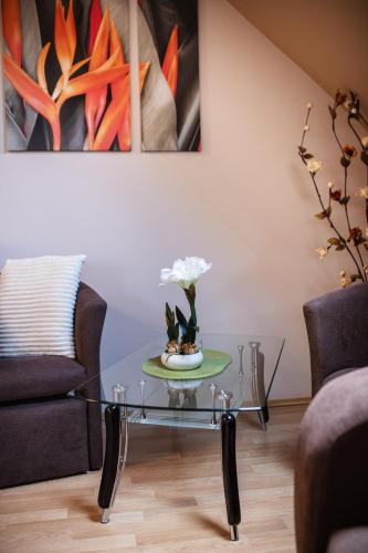 Delfin Apartman