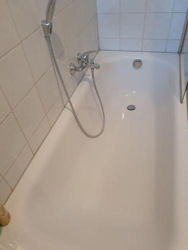 Designer Wohnung Erfurt Auenstr in Andreasvorstadt